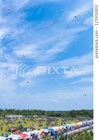 Hamamatsu Festival, Kite-flying contest at Nakatajima Sand Dunes (Hamamatsu City, Shizuoka Prefecture) Hamamatsu Festival, Kite-flying contest at Nakatajima Sand Dunes (Hamamatsu City, Shizuoka Prefecture) 125936802