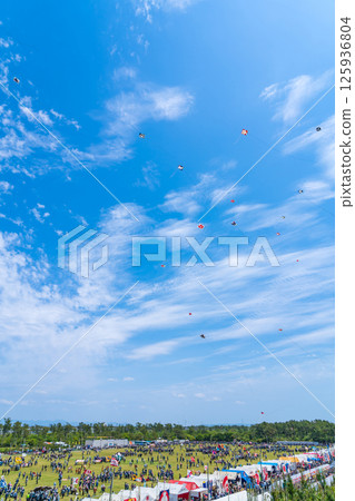 Hamamatsu Festival, Kite-flying contest at Nakatajima Sand Dunes (Hamamatsu City, Shizuoka Prefecture) 125936804