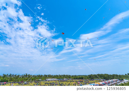 Hamamatsu Festival, Kite-flying contest at Nakatajima Sand Dunes (Hamamatsu City, Shizuoka Prefecture) 125936805