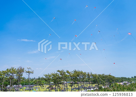 濱松節、中田島沙丘風箏大賽（靜岡縣濱松市） 125936813