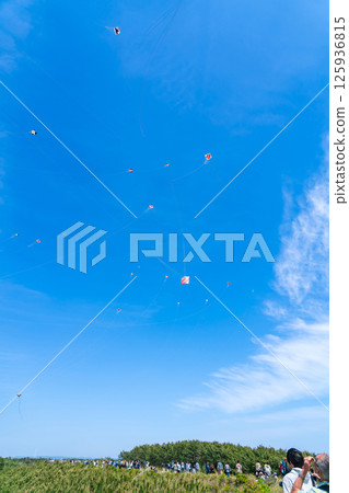 濱松節、中田島沙丘風箏大賽（靜岡縣濱松市） 125936815