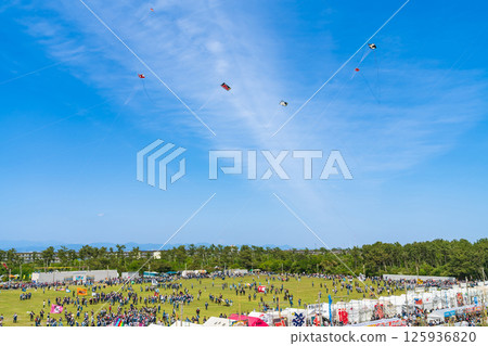 Hamamatsu Festival, Kite-flying contest at Nakatajima Sand Dunes (Hamamatsu City, Shizuoka Prefecture) 125936820
