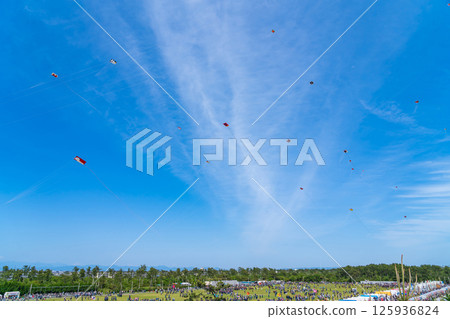 Hamamatsu Festival, Kite-flying contest at Nakatajima Sand Dunes (Hamamatsu City, Shizuoka Prefecture) 125936824