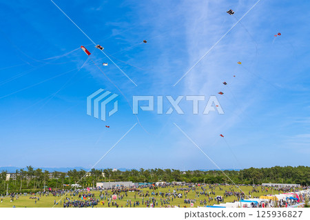 Hamamatsu Festival, Kite-flying contest at Nakatajima Sand Dunes (Hamamatsu City, Shizuoka Prefecture) Hamamatsu Festival, Kite-flying contest at Nakatajima Sand Dunes (Hamamatsu City, Shizuoka Prefecture) 125936827