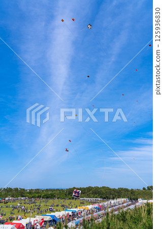 濱松節、中田島沙丘風箏大賽（靜岡縣濱松市） 125936830