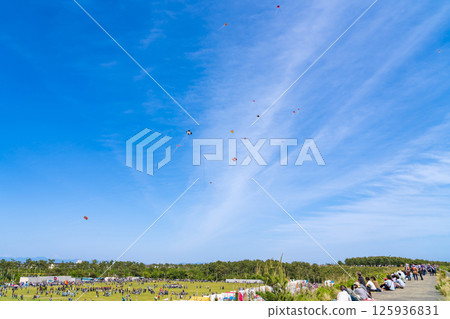 Hamamatsu Festival, Kite-flying contest at Nakatajima Sand Dunes (Hamamatsu City, Shizuoka Prefecture) Hamamatsu Festival, Kite-flying contest at Nakatajima Sand Dunes (Hamamatsu City, Shizuoka Prefecture) 125936831