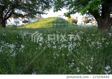 公園裡的白花、遊樂場設備、草村 公園裡的白花、遊樂場設備、草村 125936840