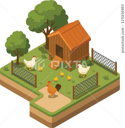 Isometric chicken farm with chicken coop and fences Isometric chicken farm with chicken coop and fences 125936963