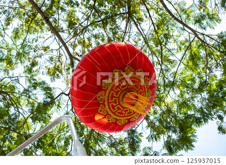 Red Chinese lanterns hanging on green tree in daylight, asian lamps, traditional oriental lanterns Red Chinese lanterns hanging on green tree in daylight, asian lamps, traditional oriental lanterns 125937015