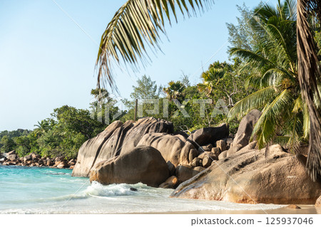Seychelles tropical beach scene with turquoise sea, granite boulders, lush palm vegetation Seychelles tropical beach scene with turquoise sea, granite boulders, lush palm vegetation 125937046