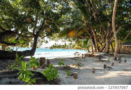 Tropical entrance to Anse Lazio beach in Seychelles with white sand, palm trees 125937067