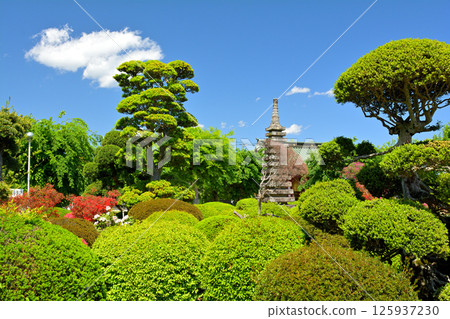 Sano Yakuyoke Daishi, Tochigi Sano Yakuyoke Daishi, Tochigi 125937230