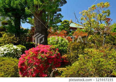 Sano Yakuyoke Daishi, Tochigi 125937235