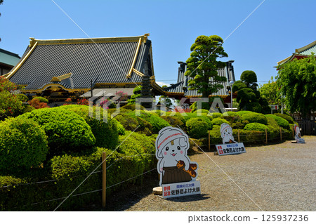 Sano Yakuyoke Daishi, Tochigi Sano Yakuyoke Daishi, Tochigi 125937236