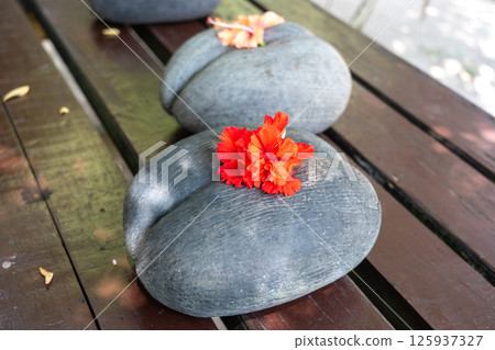 Coco de Mer nut with vivid red hibiscus flower on top, placed on a wooden bench Coco de Mer nut with vivid red hibiscus flower on top, placed on a wooden bench 125937327