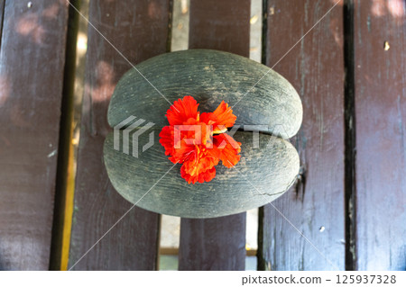 Coco de Mer nut with vivid red hibiscus flower on top, placed on a wooden bench 125937328