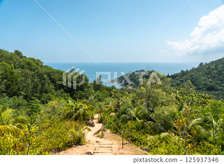 Tropical trekking trail in Fond Ferdinand Nature Reserve on Praslin Island, Seychelles Tropical trekking trail in Fond Ferdinand Nature Reserve on Praslin Island, Seychelles 125937346