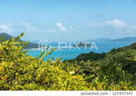 Tropical island view from the hills of Praslin, Seychelles, overlooking the ocean Tropical island view from the hills of Praslin, Seychelles, overlooking the ocean 125937347