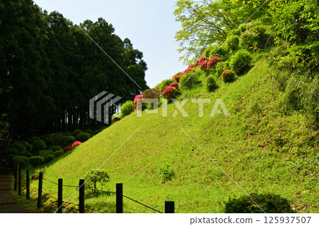 日本100大城堡/山中城（靜岡縣） 125937507