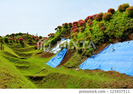 Japan 100 Great castle / Yamanaka Castle (Shizuoka) 125937511