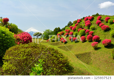 Japan 100 Great castle / Yamanaka Castle (Shizuoka) 125937523