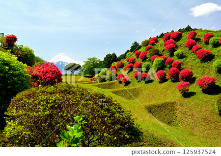 Japan 100 Great castle / Yamanaka Castle (Shizuoka) Japan 100 Great castle / Yamanaka Castle (Shizuoka) 125937524