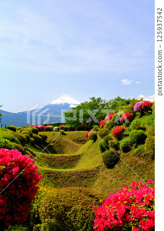 Japan 100 Great castle / Yamanaka Castle (Shizuoka) Japan 100 Great castle / Yamanaka Castle (Shizuoka) 125937542