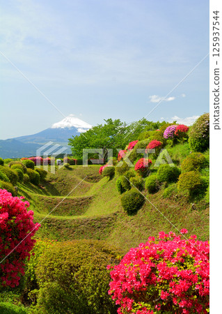 日本100大城堡/山中城（靜岡縣） 125937544