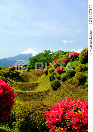 Japan 100 Great castle / Yamanaka Castle (Shizuoka) Japan 100 Great castle / Yamanaka Castle (Shizuoka) 125937545