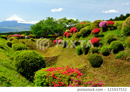 日本100大城堡/山中城(靜岡縣) 日本100大城堡/山中城(靜岡縣) 125937552