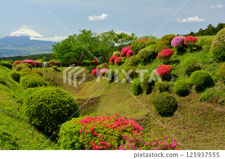 Japan 100 Great castle / Yamanaka Castle (Shizuoka) Japan 100 Great castle / Yamanaka Castle (Shizuoka) 125937555