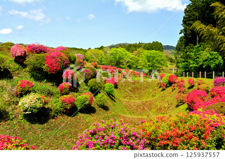 Japan 100 Great castle / Yamanaka Castle (Shizuoka) 125937557