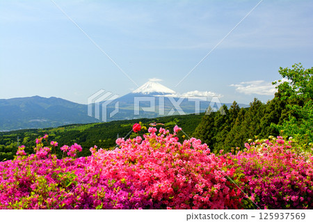 Japan 100 Great castle / Yamanaka Castle (Shizuoka) 125937569
