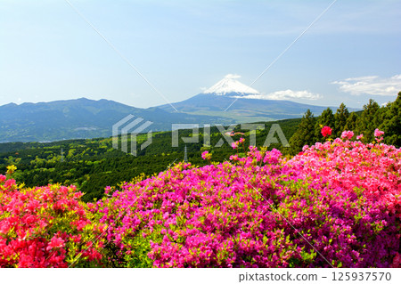 Japan 100 Great castle / Yamanaka Castle (Shizuoka) 125937570