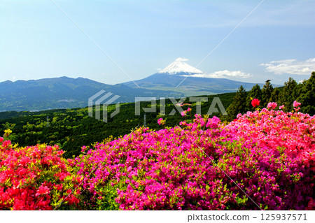 Japan 100 Great castle / Yamanaka Castle (Shizuoka) Japan 100 Great castle / Yamanaka Castle (Shizuoka) 125937571