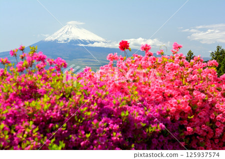 Japan 100 Great castle / Yamanaka Castle (Shizuoka) 125937574