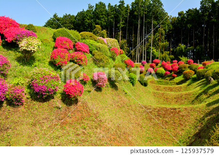 Japan 100 Great castle / Yamanaka Castle (Shizuoka) Japan 100 Great castle / Yamanaka Castle (Shizuoka) 125937579