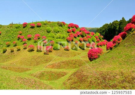 Japan 100 Great castle / Yamanaka Castle (Shizuoka) Japan 100 Great castle / Yamanaka Castle (Shizuoka) 125937583