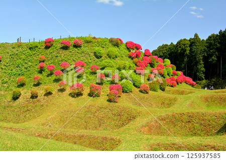 Japan 100 Great castle / Yamanaka Castle (Shizuoka) 125937585