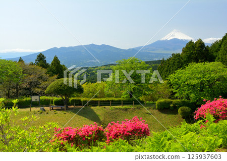 Japan 100 Great castle / Yamanaka Castle (Shizuoka) Japan 100 Great castle / Yamanaka Castle (Shizuoka) 125937603