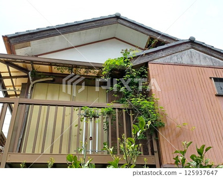 Dilapidated building (2 stories) Dilapidated building (2 stories) 125937647