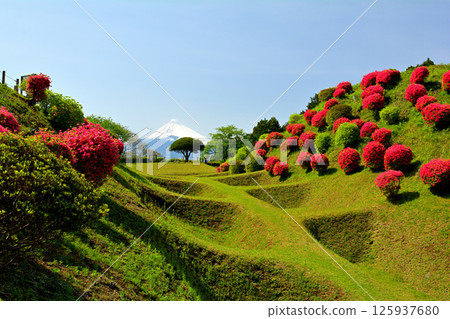 Japan 100 Great castle / Yamanaka Castle (Shizuoka) 125937680