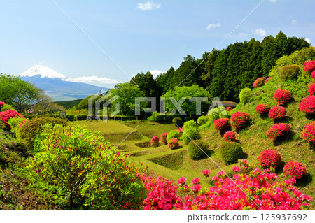 Japan 100 Great castle / Yamanaka Castle (Shizuoka) 125937692