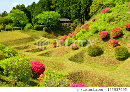 日本100大城堡/山中城(靜岡縣) 日本100大城堡/山中城(靜岡縣) 125937695