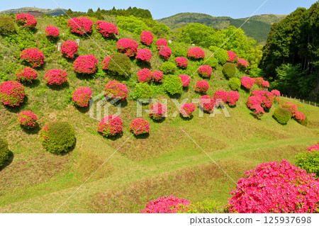 Japan 100 Great castle / Yamanaka Castle (Shizuoka) 125937698