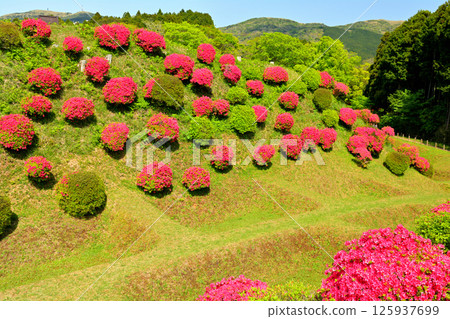 Japan 100 Great castle / Yamanaka Castle (Shizuoka) 125937699