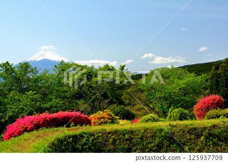 Japan 100 Great castle / Yamanaka Castle (Shizuoka) Japan 100 Great castle / Yamanaka Castle (Shizuoka) 125937709