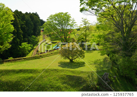 日本100大城堡/山中城(靜岡縣) 日本100大城堡/山中城(靜岡縣) 125937765