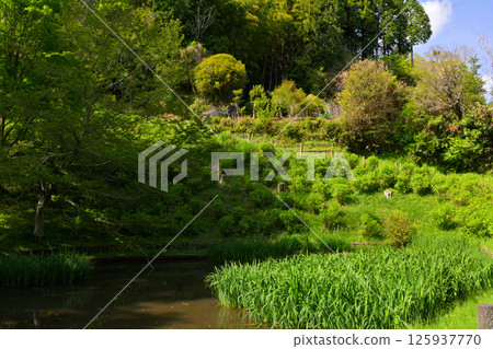 日本100大城堡/山中城（靜岡縣） 125937770