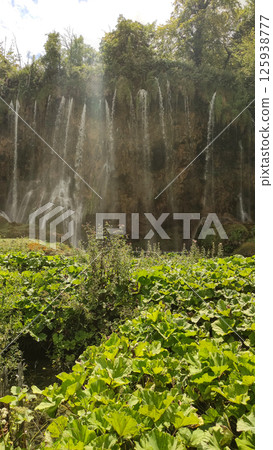 Waterfalls flowing on lush green vegetation in plitvice lakes national park Waterfalls flowing on lush green vegetation in plitvice lakes national park 125938777